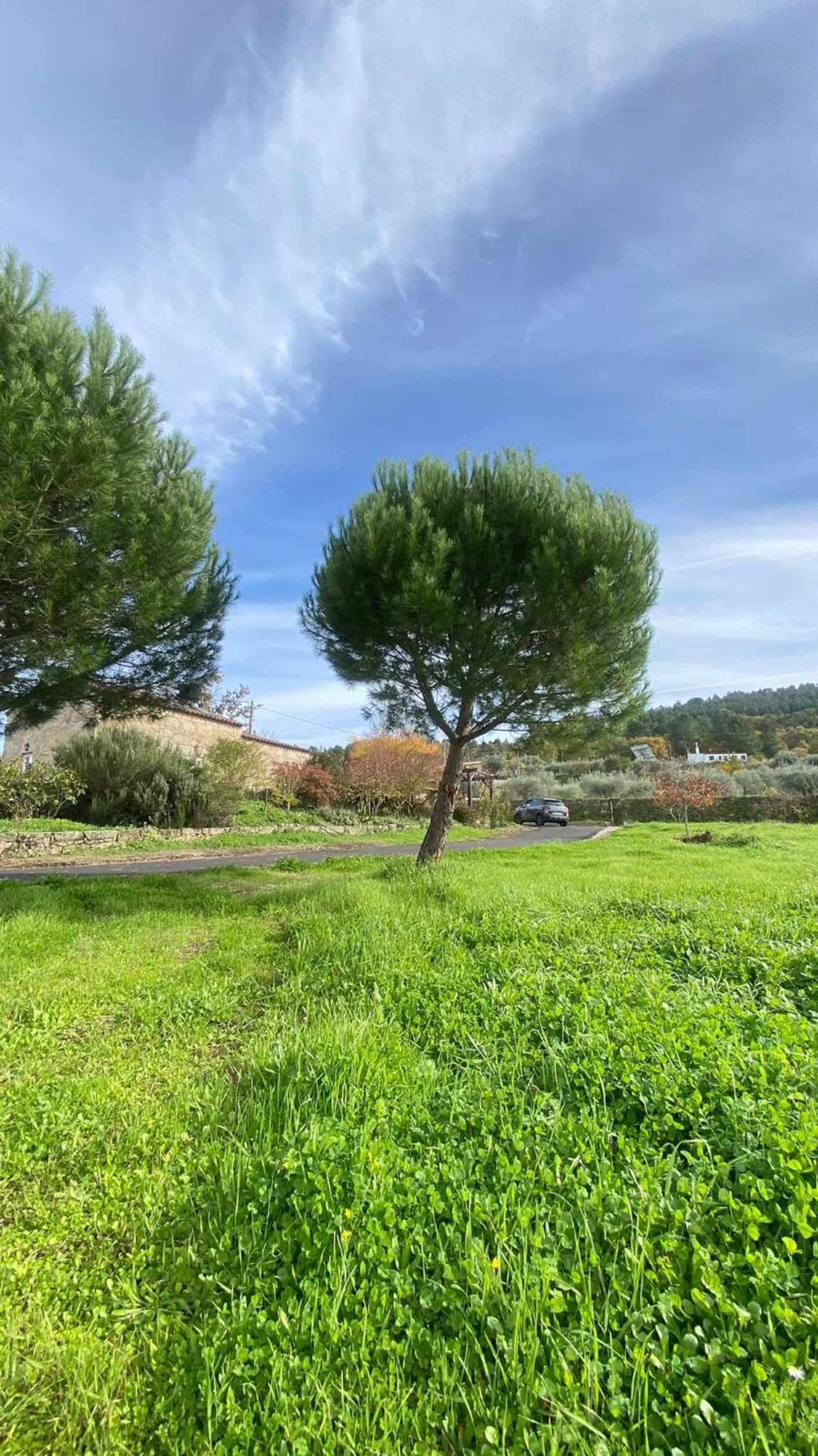Casas Do Minerio Villa Guarda Dış mekan fotoğraf